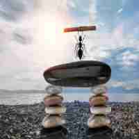 渗​透‌测​试﻿ 厂‍商​